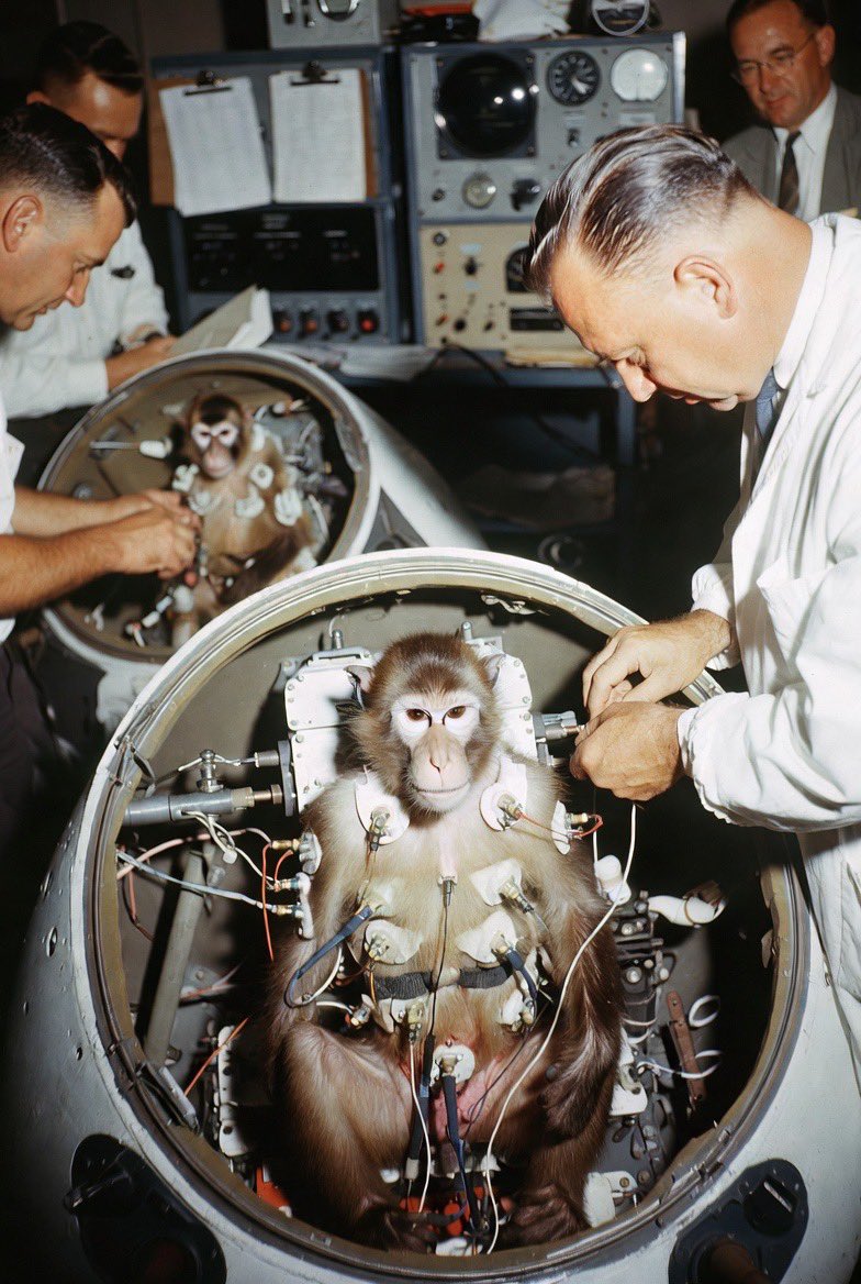 Amerlcankidrock's tweet photo. 1959: NASA launched a Jupiter rocket carrying two monkeys, Able and Baker, on a suborbital flight from Cape Canaveral. This was a key early test of biological responses to spaceflight conditions. Both monkeys survived, paving the way for human spaceflight. #NASA #jupiterrocket https://t.co/q1pk65aXrw