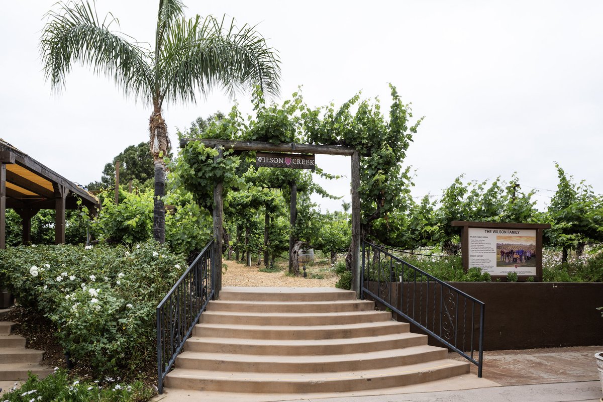 SoCalWaterComm's tweet photo. 𝗦𝗖𝗪𝗖 𝗤𝟮 𝗟𝘂𝗻𝗰𝗵𝗲𝗼𝗻 | 𝗣𝗮𝗿𝘁 𝟯

A special thank you to Wilson Creek Winery for hosting SCWC’s Q2 Quarterly Luncheon in the heart of Temecula wine country.

From the beautiful vineyard views to the warm hospitality and incredible wine tasting experience, Wilson Creek provided the perfect setting for an afternoon centered around conversation, collaboration, and connection.

We’d also like to recognize and thank our luncheon sponsors for helping make this event possible:

• Eastern Municipal Water District
• Elsinore Valley Municipal Water District
• Inland Empire Utilities Agency
• Metropolitan Water District of Southern California
• Kiewit
• Western Water
•Municipal Water District of Orange County 

SCWC is grateful for the continued partnership and support from agencies and organizations committed to California’s water future.