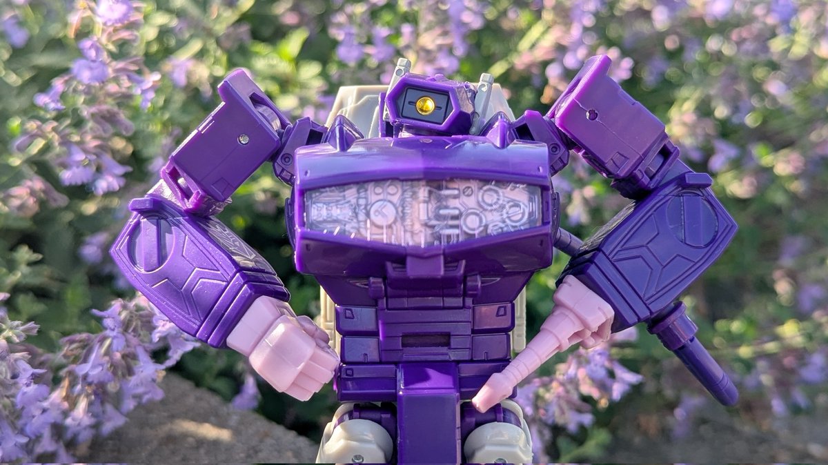 Finally had a chance to take some pics of my SS 86 Shockwave 💜 He's ...
