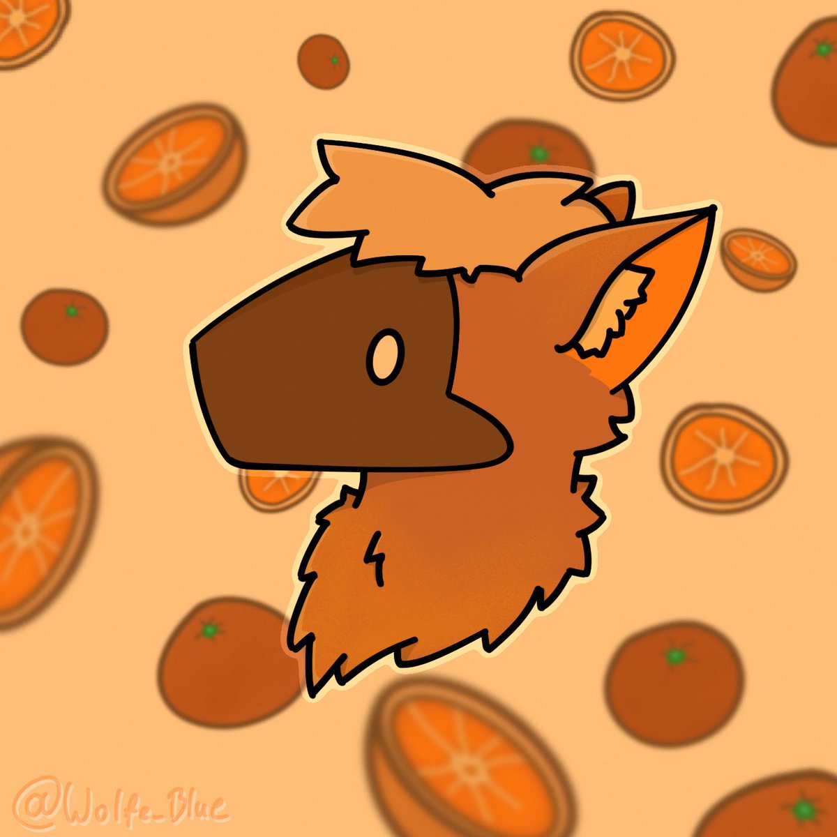 Wolfe__Blue's tweet photo. Orange 🍊 https://t.co/XjK8kTSv5G
