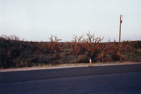 atxwxgirl's tweet photo. Damage pics I took in 1997 from the Pedernales Valley F4 tornado that hit Hwy 71/Hazy Hills on 5/27/1997.
- The tornado touched down on the S shore of Lake Travis, destroyed 15 homes, damaged 14 others. 
- Max winds of 207 mph, tracked to the SW for 8 miles https://t.co/AV3djdyPl7
