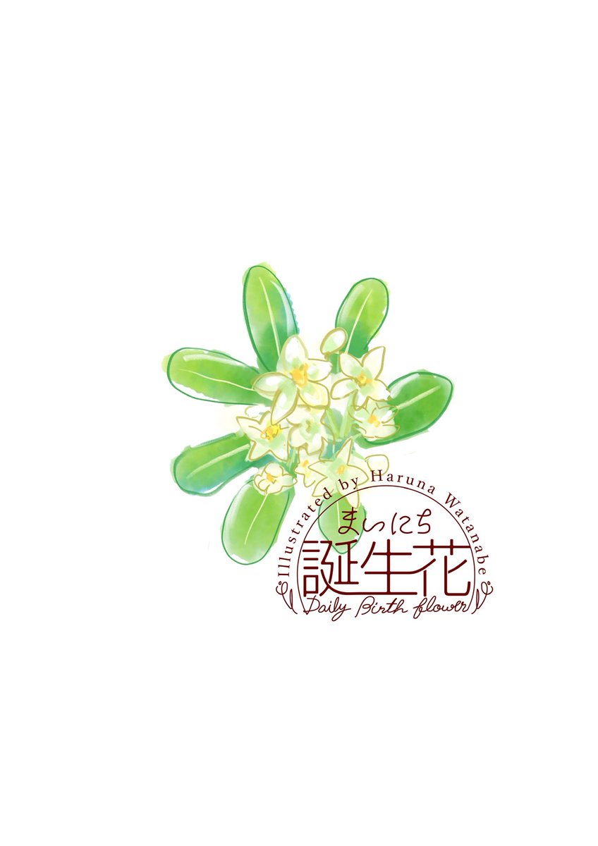 「5月28日 トベラ 花言葉 調和 #1日1絵 #まいにち誕生花」|渡邊 春菜のイラスト