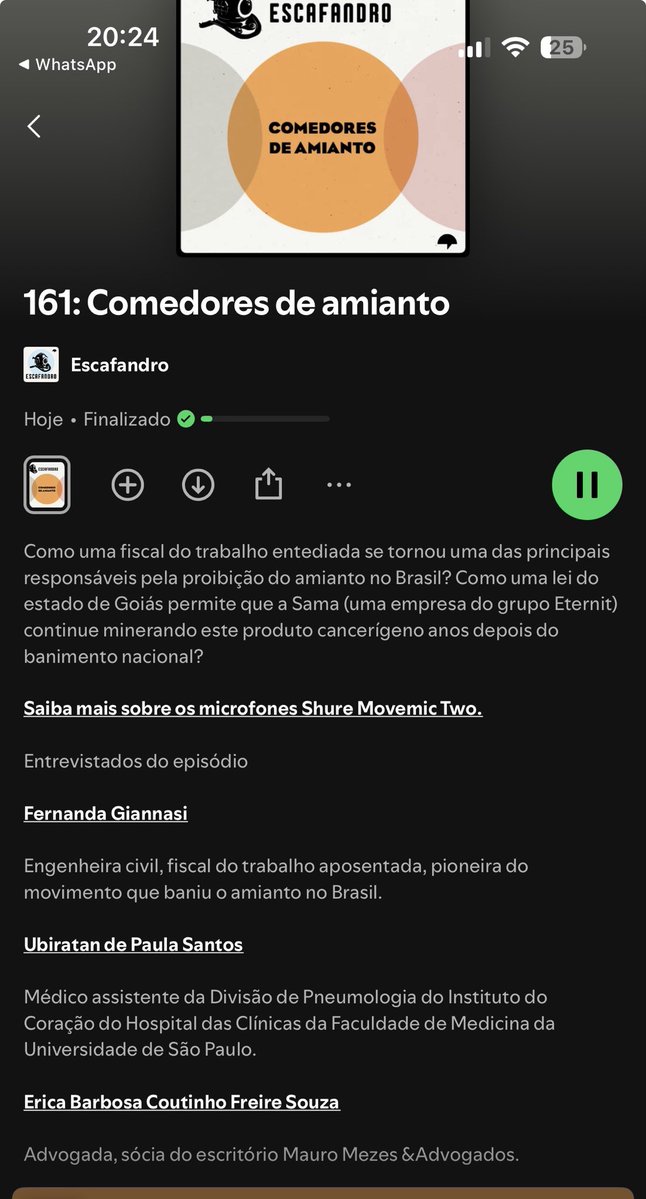 Fernanda tweet media