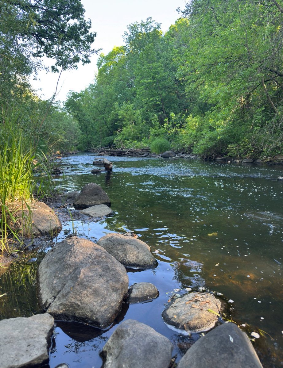 chillerguylife's tweet photo. I showed you my creek please respond https://t.co/pvExDeXyzL