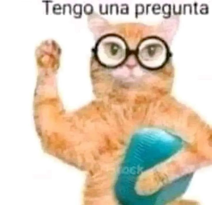 𝙏𝙧𝙖𝙘𝙚𝙧 ✨ tweet media