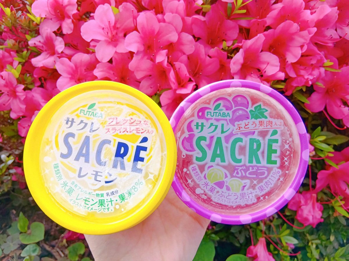 FUTABA_SACRE's tweet photo. おはフタバー！
もくもくもくようび！

気づけば5月ももう少しで終わり🎏🌱
今月中にやるべきことがサクサクっと進められますように🙏✨
#サクレぶどう

今日もよろしくお願いします♪ https://t.co/DEyyrmSc7K
