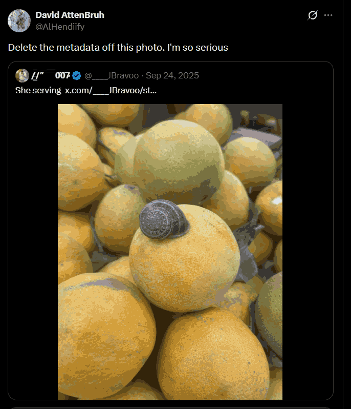 the big guy tweet media