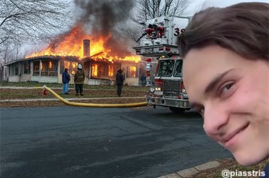 Alex ⁸¹ 🐝 tweet media