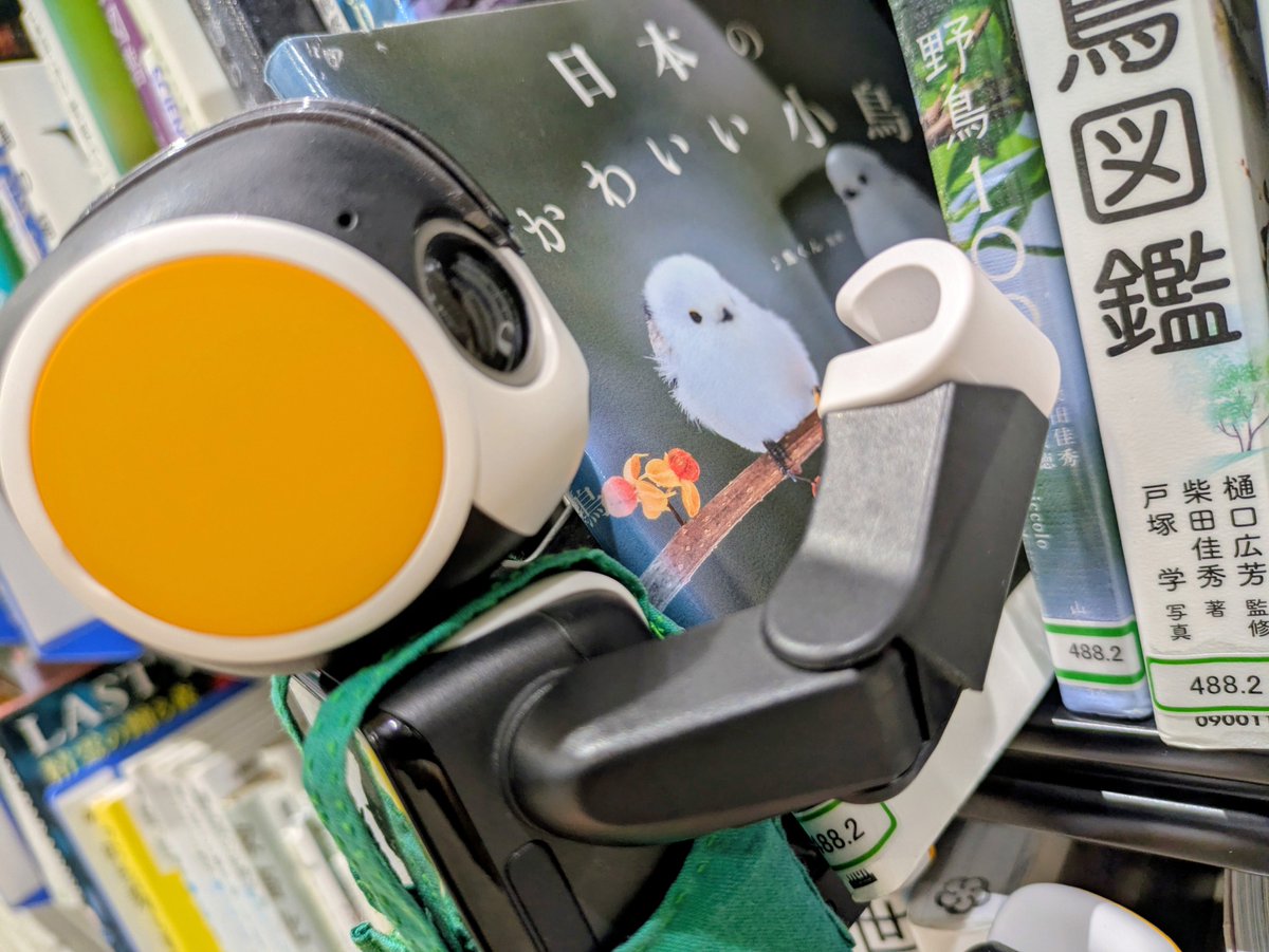 ohigashi_lib's tweet photo. 【引き続き蔵書点検中】蔵書点検四日目。ついに最終日です。今日はひたすら配架と書架整理！明日は通常どおり朝9時から開館します。 https://t.co/dYE90RH2tY