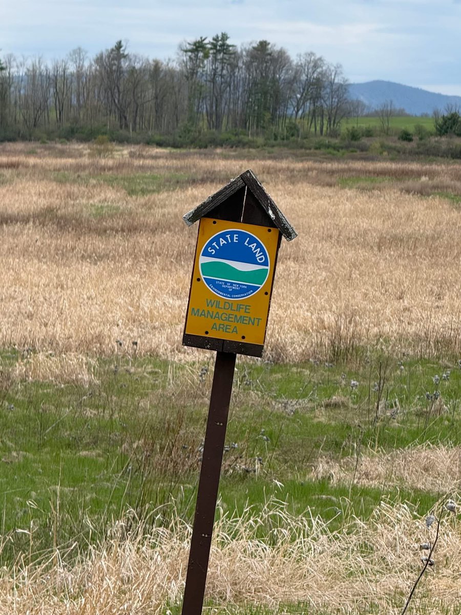 alex_fasulo's tweet photo. How did we get here?

How did we get to a place where New York State just issued a final permit for a designated and ecologically sensitive habitat that our own state's NYS  Department of Environmental Conservation has admitted houses 10 of the 11 TOP grassland species of concern?

It's a masterful play in the art of usurping power from the public and storing it inside shadow bureaucratic bodies and "clean energy" propaganda that's designed to benefit foreign corporations.

Here is the timeline of how New York State was able to pull off siting Fort Edward Solar while breaking its own laws in front of the public:

Step 1: the Climate Act was passed in 2019 justifying mass environmental devastation in the name of "saving the climate"

Step 2: ORES was shoved through in a budget bill April 2020 while everyone sheltered at home, creating a shadow agency no one voted for

Step 3: Kathy Hochul stacked the DEC (and APA) with renewable energy salesmen and women, installing Amanda Lefton as the DEC Commissioner to stand down in the face of renewable destruction

Step 4: ORES defers all decision-making to foreign renewable developers, including allowing them to buy and redact the environmental "assessments"

Step 5: ORES takes in a $1,000 fee/MW for each complex, directly profiting from the size/number of projects it sites 

Step 6: ORES agrees to issue a final permit to the foreign renewable developers 100% of the time, ensuring they recoup their investments and are able to exchange/sell the permit as many times as they want for 7-years thereafter 

Step 7: The solar industrial complex lobbies NYS politicians like Senator Pete Harckham, Michelle Hinchey, and NYS Senator Rachel May to push through environmentally destructive legislation while pretending they care about the environment 

Step 8: NYS distributes Environmental Protection Fund (EPF) money to conservation easement nonprofits and environmental advocacy nonprofits with strings attached: "support climate change infrastructure and messaging"

Step 9: Nonprofits like the Grassland Bird Trust withdrew their Appeal one-week before the Fort Edward Solar final permit to receive mitigation money from Boralex, effectively dismantling any perceived "opposition" to big solar and wind 

Step 10: Solar conglomerates infiltrate town boards and leadership, paying off elected officials while pressuring landowners at their physicals doorsteps and handing out 40+ page contracts that are impossible to decipher without a law firm

Step 11: Solar conglomerates are actively funding political candidates at the local level in NYS to displace Upstate NYers that have taken public stands against solar complexes

And there you have it.

After the 8-month journey I have been on, this is the timeline. These are the steps. This is the playbook.

If you still believe any of this is for the environment, you and I have nothing in common. 

This is coming for every single town and county in New York State and beyond. 

It stops with Fort Edward.
