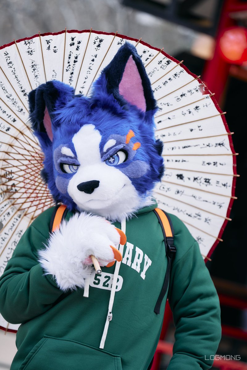 gas6723's tweet photo. 햇볕이 강할 땐 양산을 써야 좋은 털결을 유지할 수 있어!
#FursuitEveryday https://t.co/6sjQHjHWvt