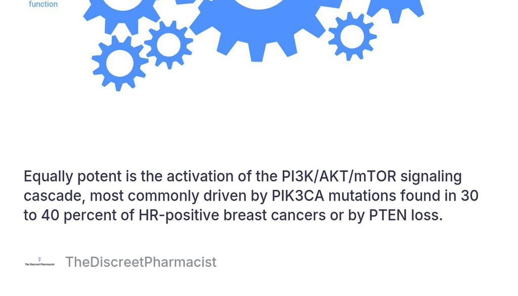 DiscreetPharma's tweet photo. Equally potent is the activation of the PI3K/AKT/mTOR signaling cascade, most commonly driven by PIK3CA mutations found in 30 to 40 percent of HR-positive breast cancers or by PTEN loss.

Read more 👉 https://t.co/CWjx73hF7N

#MolecularLogic— #ClinicalPlaybook— https://t.co/nQTD0cPAnN