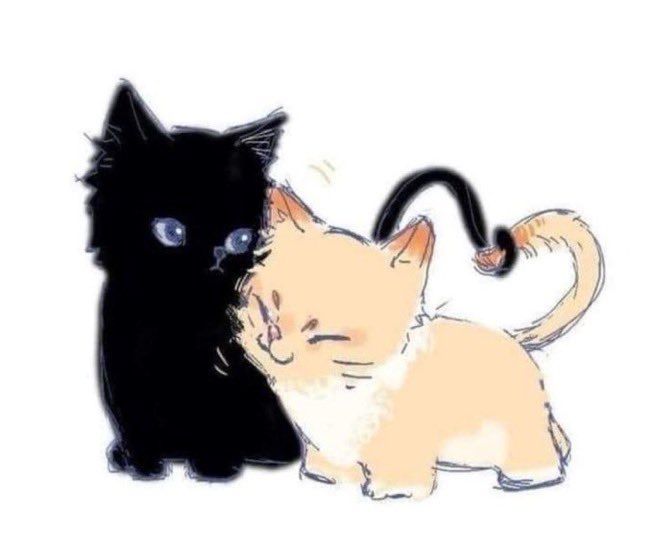 bflottie's tweet photo. back for them and only for them https://t.co/phfcvwry7k