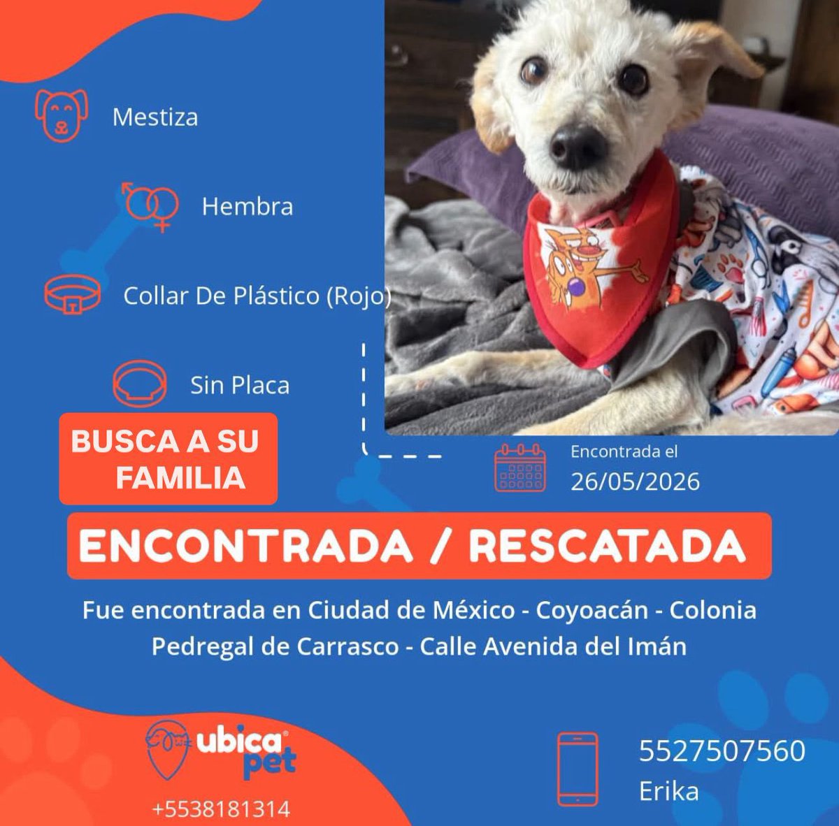 Lorena Becerra tweet media