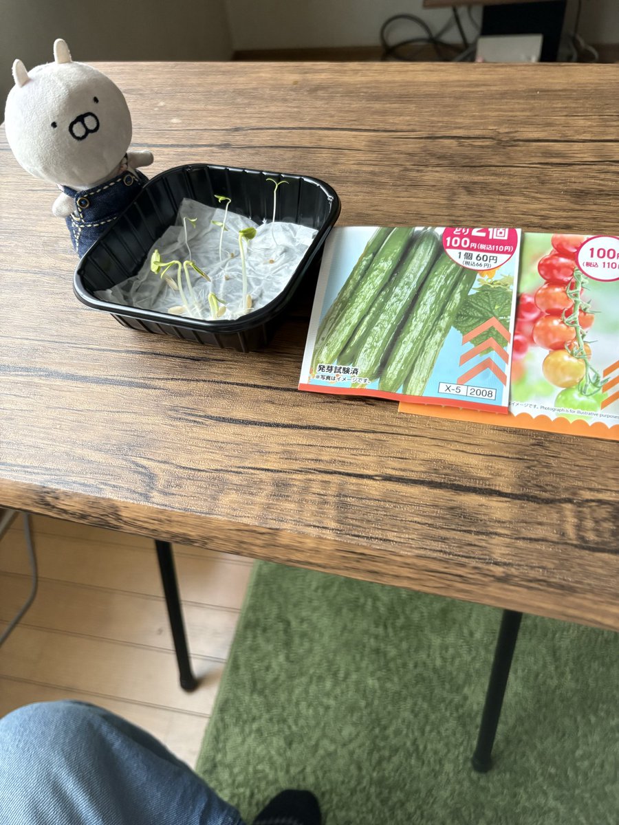 Mi3tds8202Eight's tweet photo. ���ネから育ててる
きゅうりとプチトマト https://t.co/LohSBMisuJ