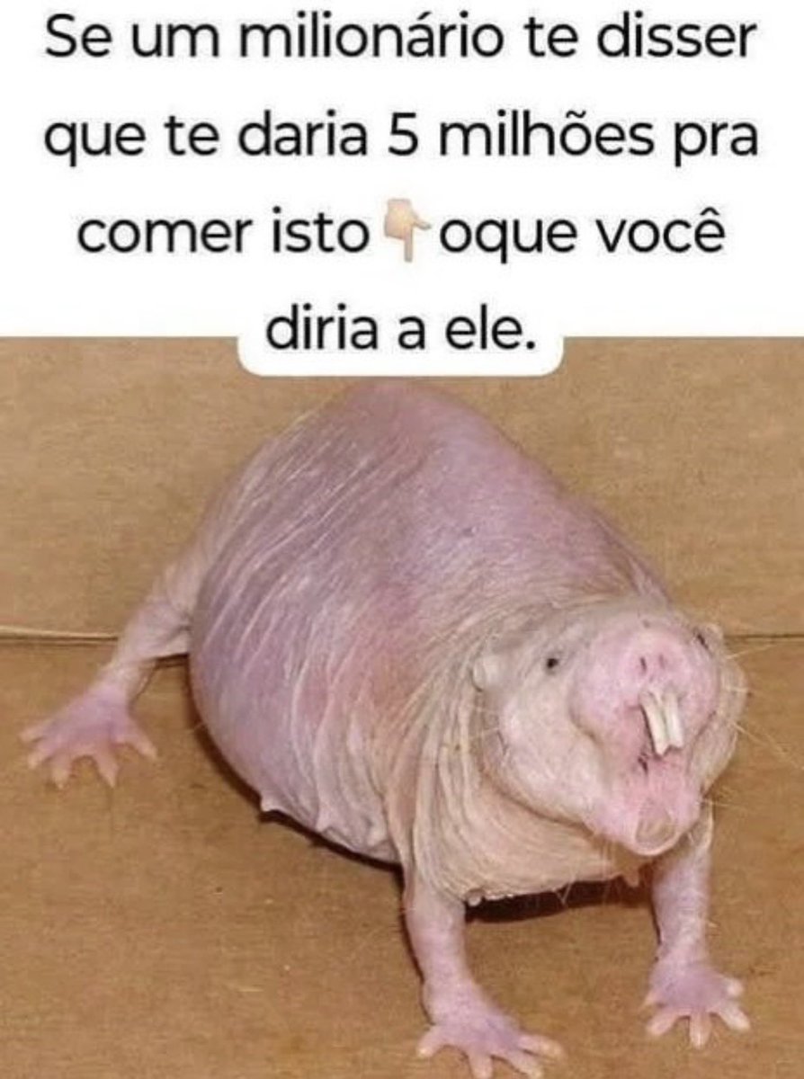 MemesEsquizo🌲 tweet media