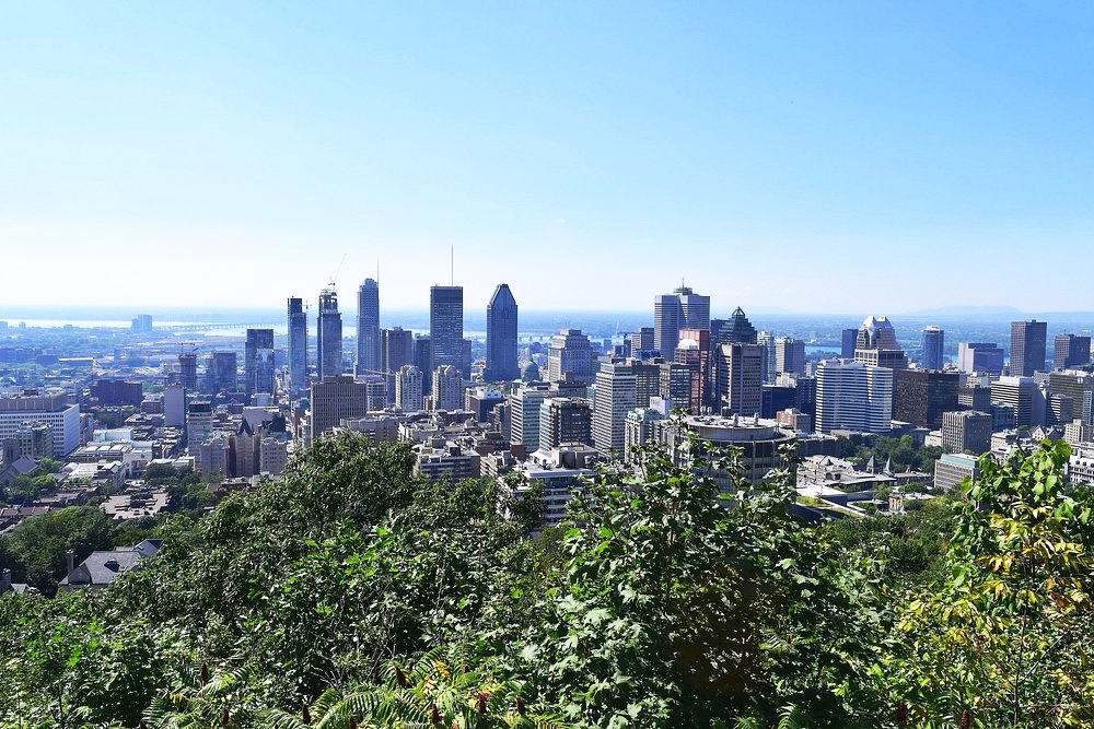 Housesitter's tweet photo. New Housesitter Opportunity — Montreal, Canada
Full details and owner contact information were provided to paid subscribers of The Caretaker Gazette in our latest email update. Subscribe at: https://t.co/y7pILPDp0h https://t.co/r3nbHmXfy9