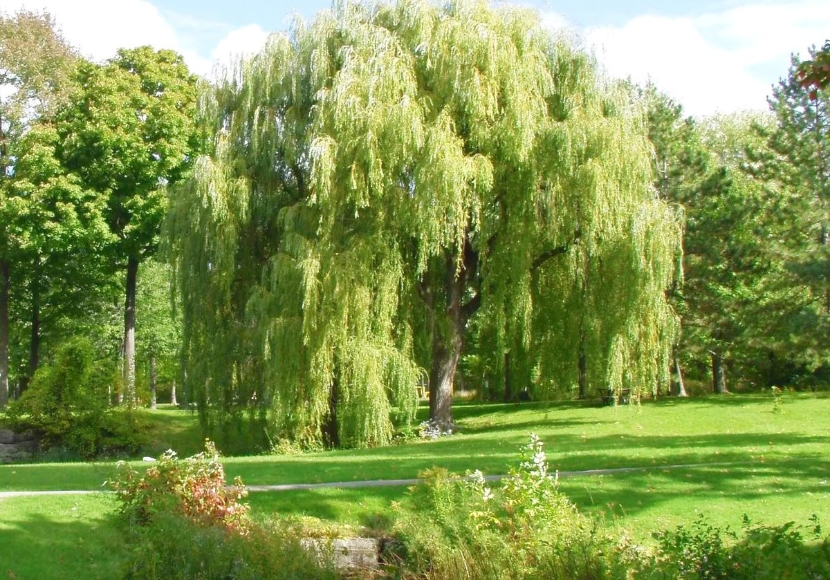 Housesitter's tweet photo. New Housesitter Opportunity — Montreal, Canada
Full details and owner contact information were provided to paid subscribers of The Caretaker Gazette in our latest email update. Subscribe at: https://t.co/y7pILPDp0h https://t.co/r3nbHmXfy9