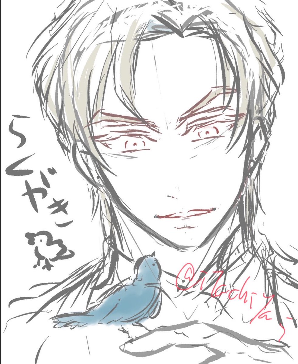 今日の出勤前絵作業チャレンジというか今日は気の赴くままのザクザクらくがき
記憶だけを頼りに描いたお頭🦜。
記憶が曖昧なので顔の模様とか描いてない 