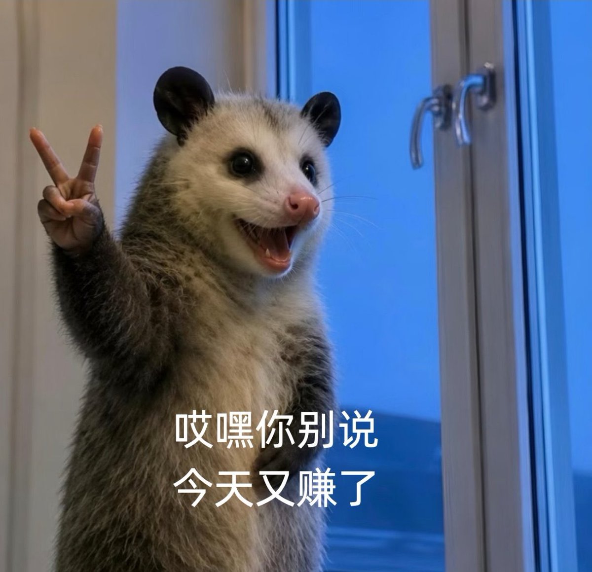 金澜哥 tweet media