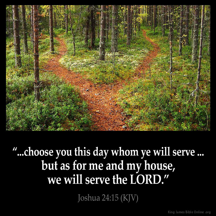 Wendy W ✝️💐🌿🌷🌿🌷🌿🌷 tweet media