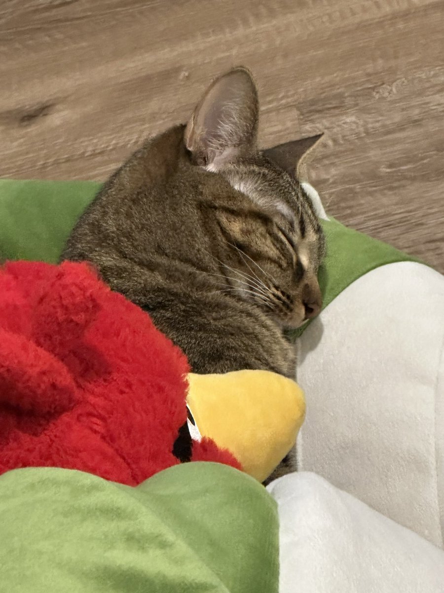 Livillon's tweet photo. Unbothered 🤍 https://t.co/bDGEZCsNlt