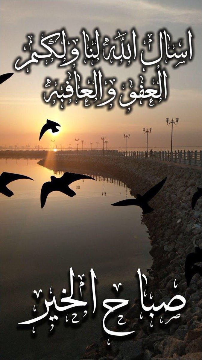 samjam911's tweet photo. @q8_invader https://t.co/0frrovQpiI