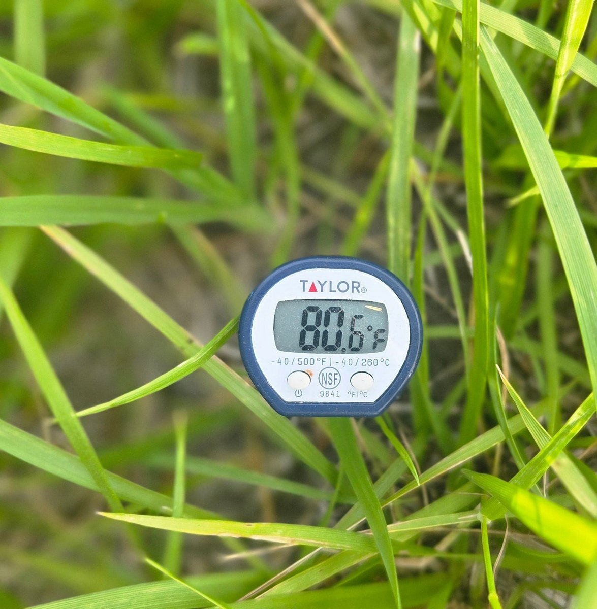 FarmrHuntr's tweet photo. 2" soil temp @ 7 pm and 87⁰ air temp

Tilled corn 96⁰
Pasture 80⁰
NT Soy &amp; rye 78⁰ https://t.co/U7KMA8eokq
