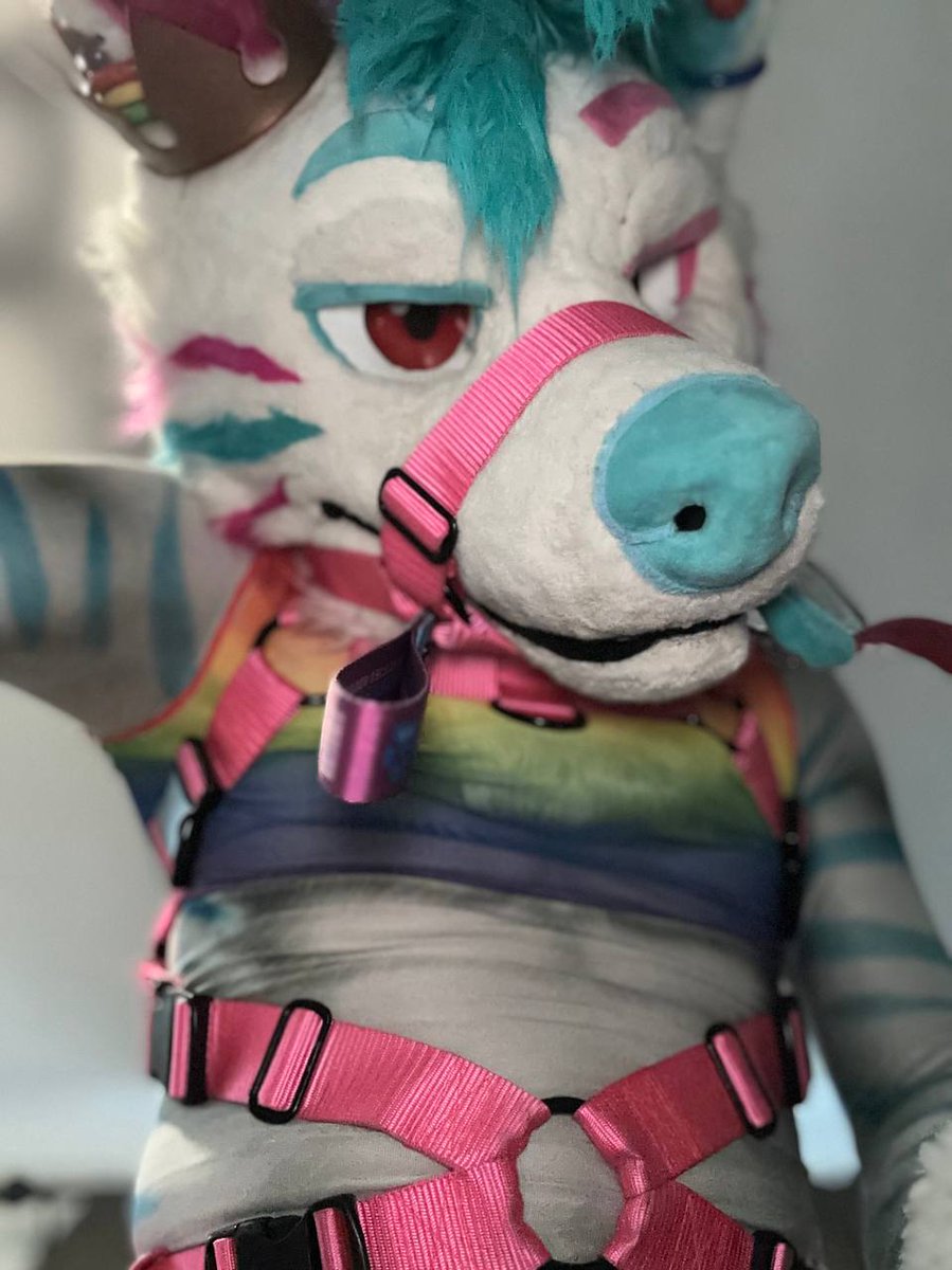 tolfzilla's tweet photo. @finnthepuppo @ekkofox Oh you know i would~ https://t.co/yCFBnpdlRS