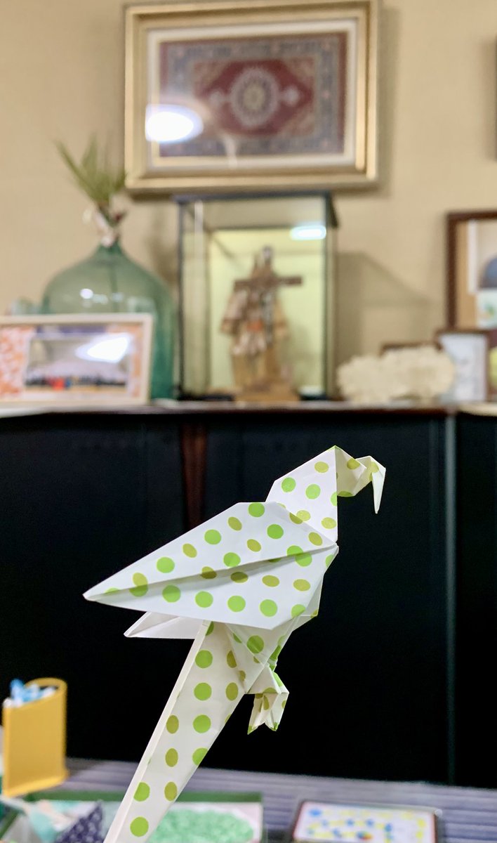 Olie65's tweet photo. 【ママンとの毎日】
🦜折れました！
もう手術が始まった頃かな。高齢に負けず頑張るママン。今度こそ上手く歩けるようになりますように💚 https://t.co/9eE5ZdpJrY