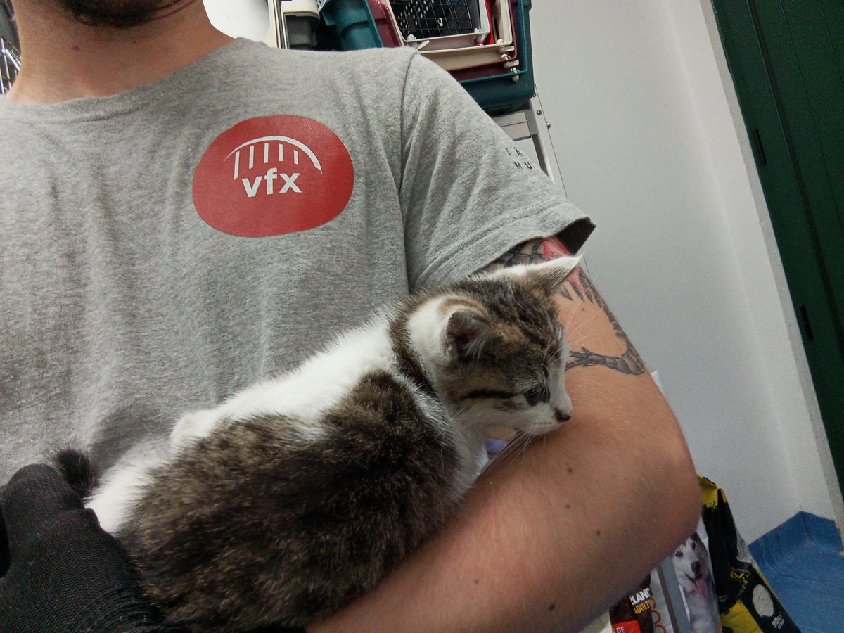 _Trikster__'s tweet photo. @MissPookieVT Some of the babies from work 🫡 https://t.co/eNCv5VFrU4