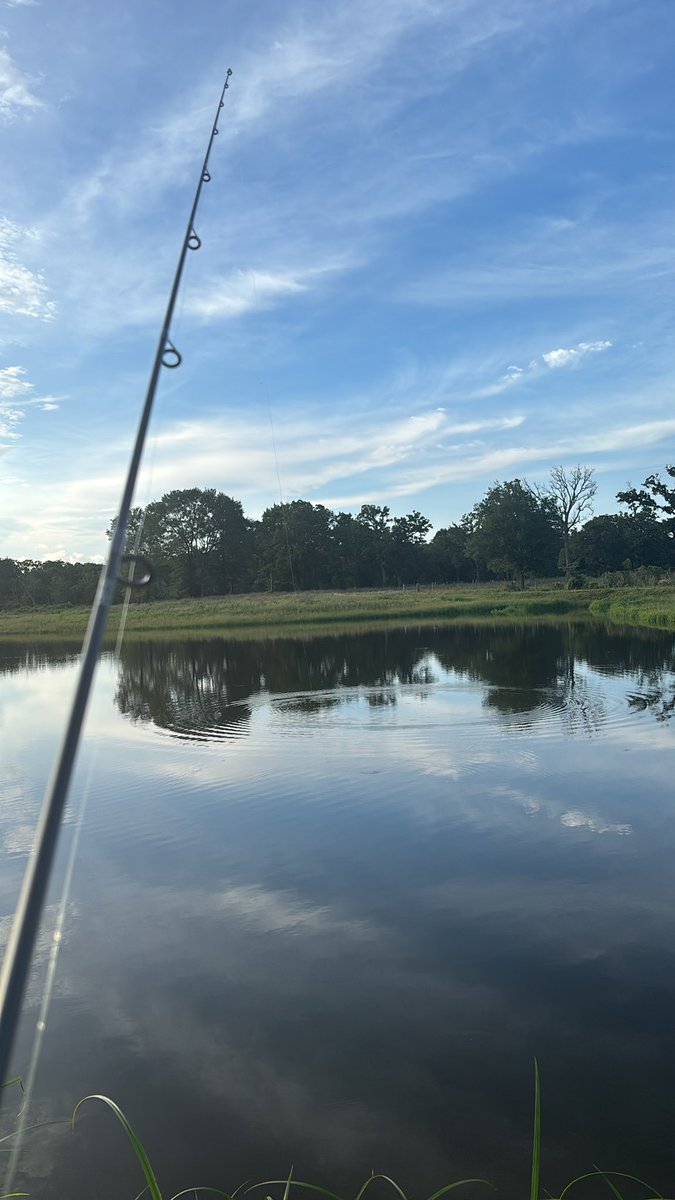 JimbosBurner1's tweet photo. No internship. No wife. Shit job. Just bait on my line and bitches on my mind. #help https://t.co/r2lCA1tExL