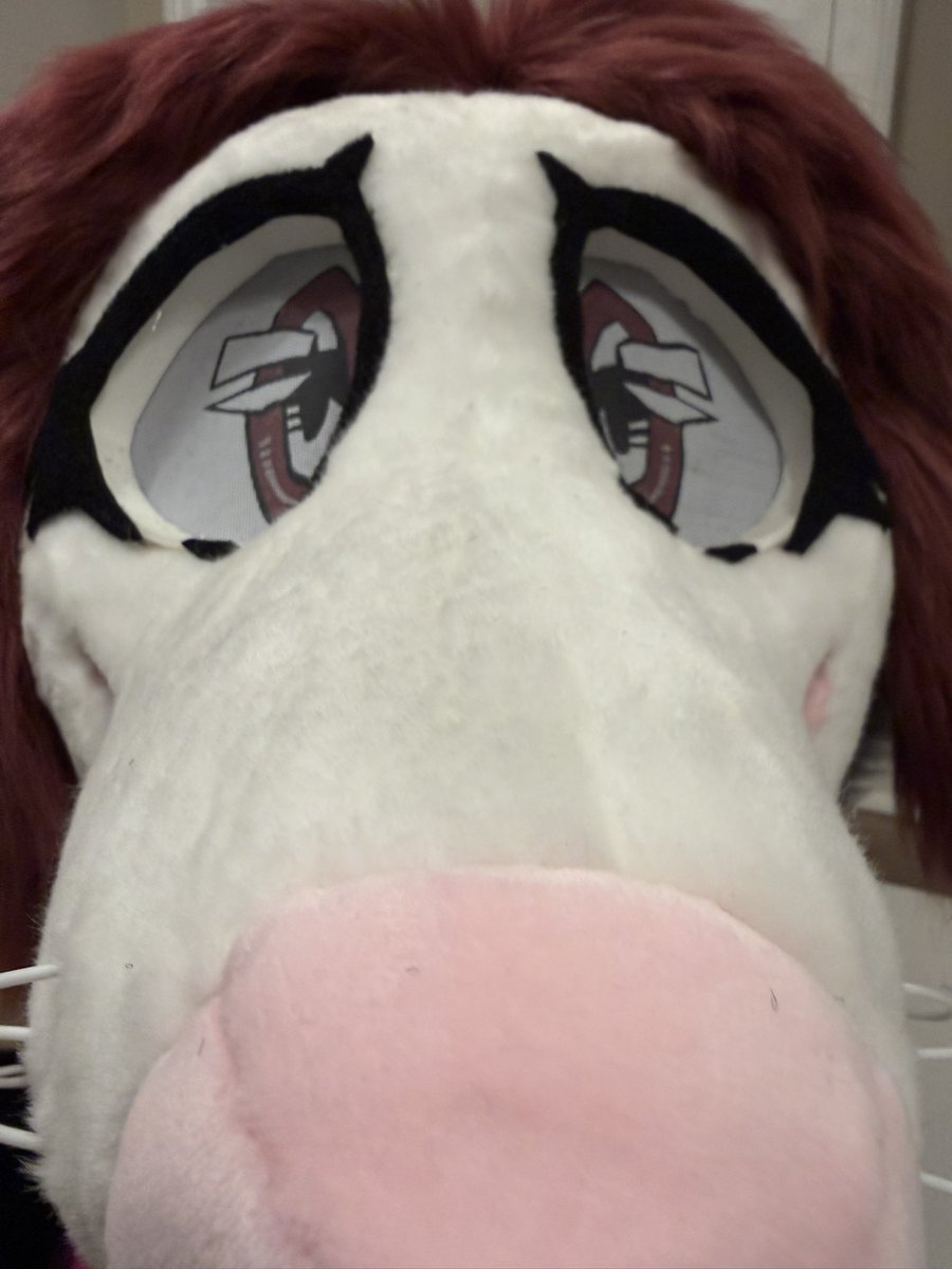 _SFcostumes's tweet photo. Another critter is almost done👀👀👀

🌌 #fursuitmaking #fursuit #fursuitwip #smallfursuitmaker #furry 🌌 https://t.co/GoTX8PUK8P