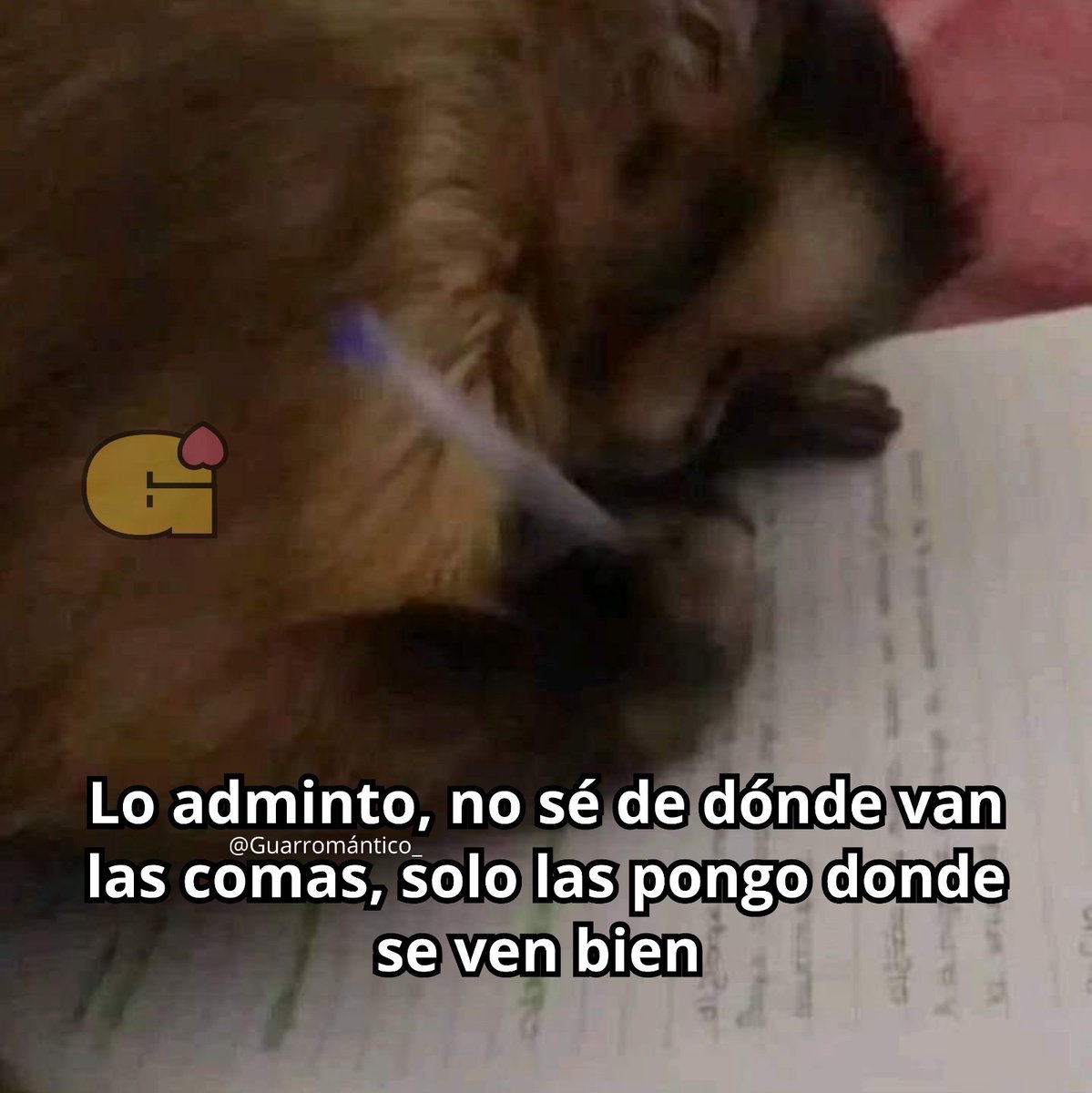 El Guarromántico tweet media