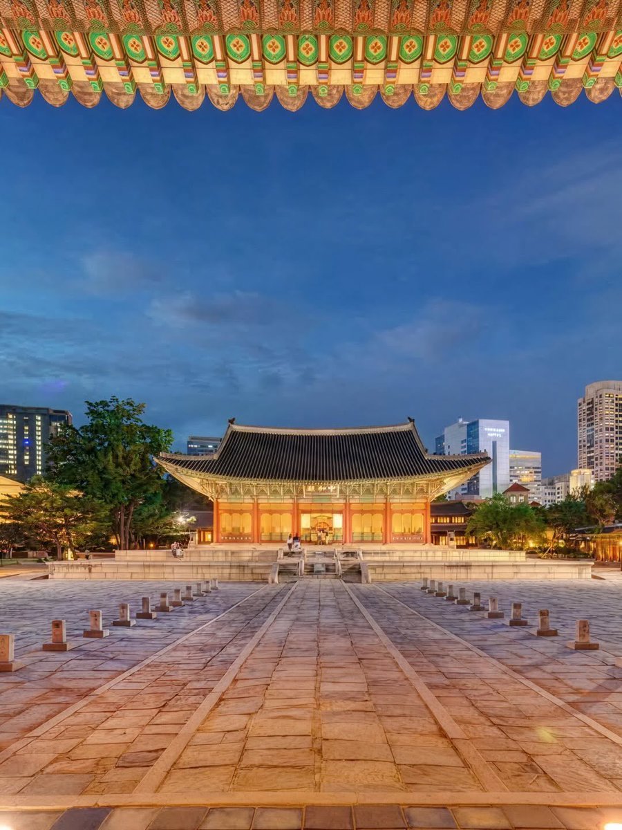 선삐(seon-bbi)🇰🇷 tweet media