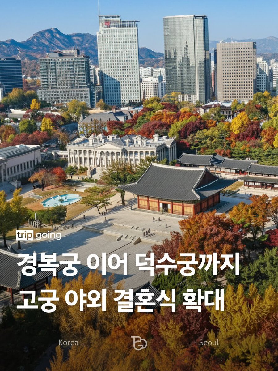 선삐(seon-bbi)🇰🇷 tweet media
