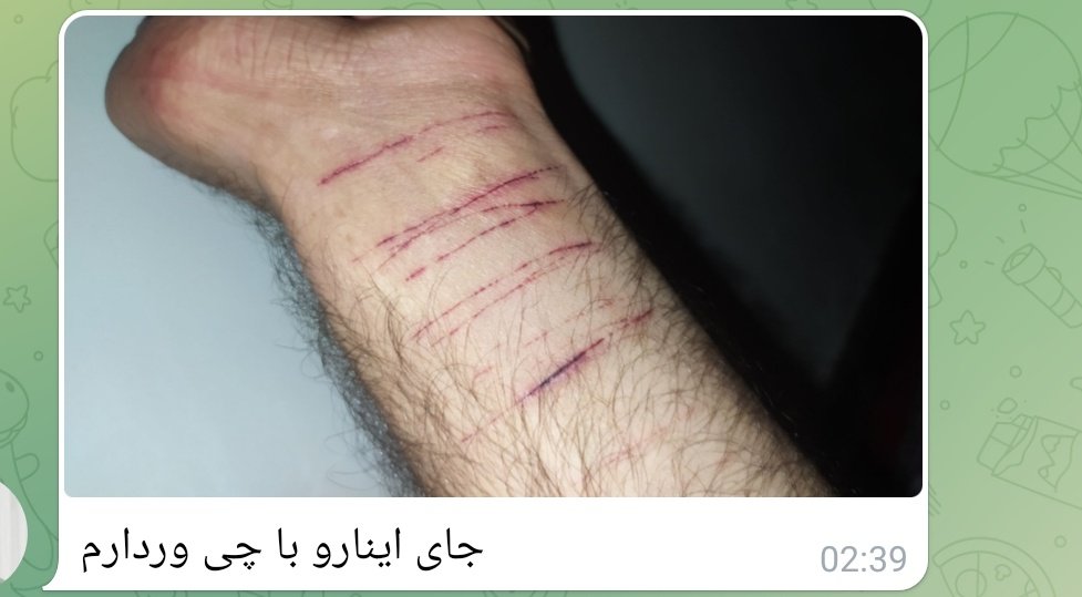 آهو tweet media