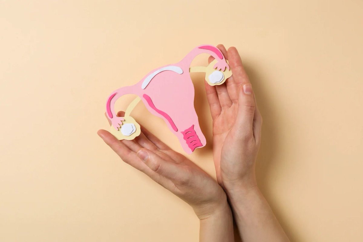 LupitaVargasMx's tweet photo. En el Día Internacional de la Higiene Menstrual, recordemos la importancia de hablar del periodo con información, respeto y sin tabúes.

El acceso a productos de higiene, educación y espacios seguros es bienestar y salud para millones de niñas 👧🏽 y mujeres 👩🏽. 

https://t.co/dNrMnLQAmr

📸: Pompeia Life