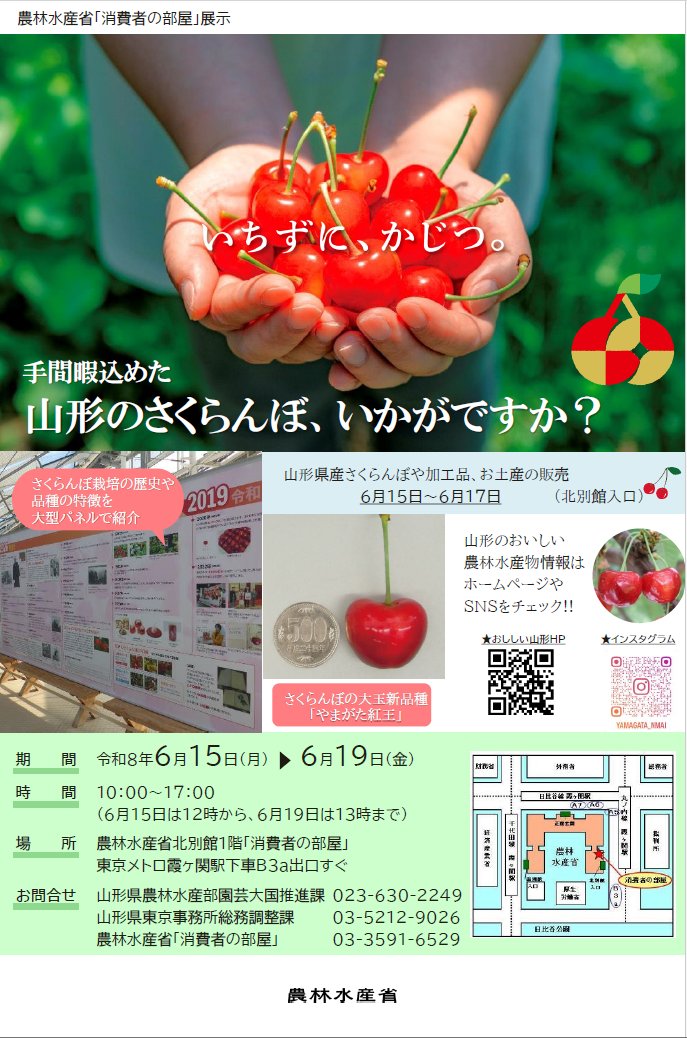 ytokyo1's tweet photo. 「消費者の部屋」にて山形県のさくらんぼ栽培に関する展示＆販売を実施！
「やまがた紅王」をはじめ県内各さくらんぼ品種の紹介、150年続くさくらんぼ栽培の歴史をパネルでわかりやすく展示。
6/15～19、山形県産さくらんぼや関連商品の販売も予定。
#山形県さくらんぼ #やまがた紅王 #さくらんぼ販売 https://t.co/je5r21cEaQ