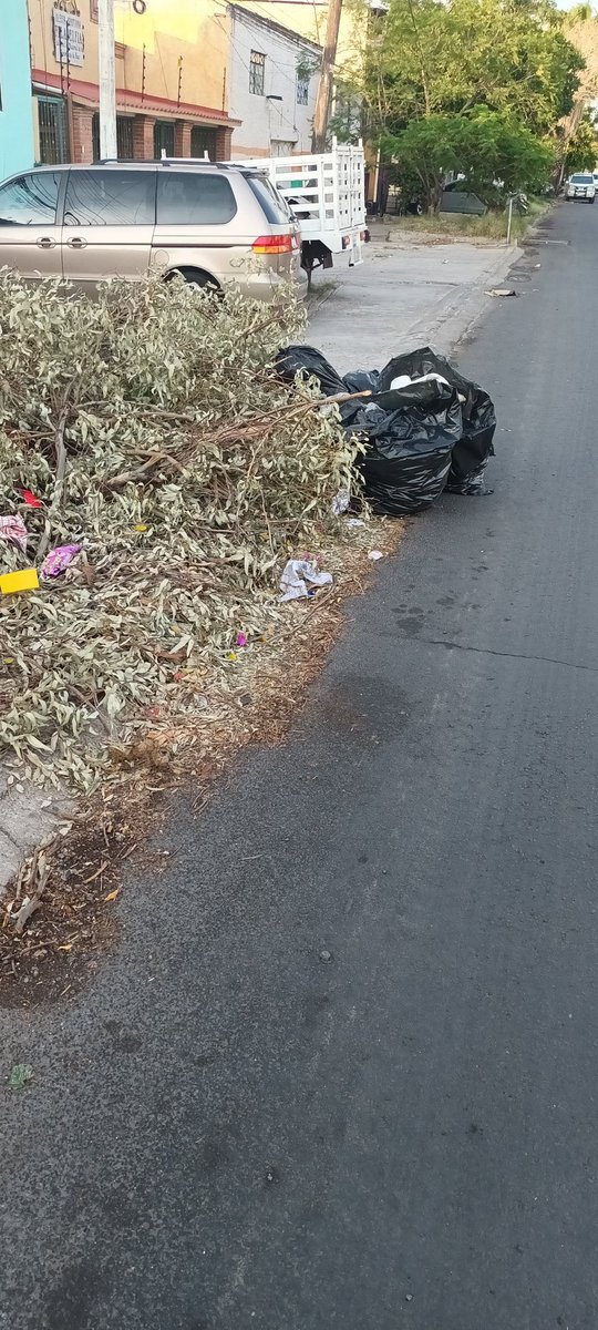 monyart17's tweet photo. @qromunicipio buenas tardes, solicito de nuevo de su apoyo , ya es el tercer reporte que hago por este medio. Nos apoyaron en cortar el arbol pero no han pasado a recogerlo y la gente ya esta dejando aqui su basura. Avenida 4 entre calles 21 y 23 en lomas de casa blanca. https://t.co/6FByUmoCy6
