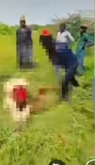 Prince_dc21_'s tweet photo. Kidnappers kidnapped over 40 children and some teachers for going to two weeks now bayo onanugo didn't say anything. 

I even saw a recent video where these kidnappers are cutting out someone's head like a head of cow bayo onanugo didn't say anything. 

He hasn't said anything since this insecurity but immediately a fake audio about verydarkman started circulating online he suddenly he immediately found his voice. 

I just hope verydarkman will sue you guys so you will come and prove that that video was posted by verydarkman. 

Y'all can't silence verydarkman same way you silenced nnamdi KANU.