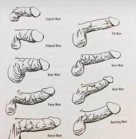 EBadiar's tweet photo. Cuál es el sullo ?! 
 a ver con foto 😈🍆 
#WATA https://t.co/KbUU3OSXEL