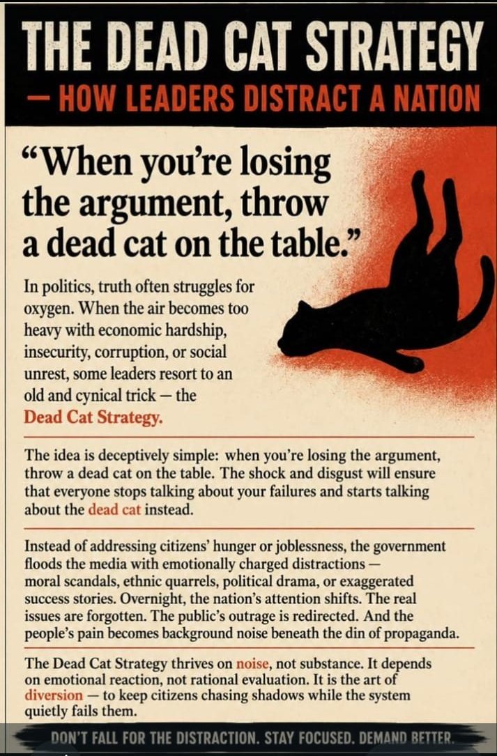 OnguruMeister's tweet photo. Dead Cat strategy explained, and example of Dead Cat strategy in real time. https://t.co/vv5iXxzxrm