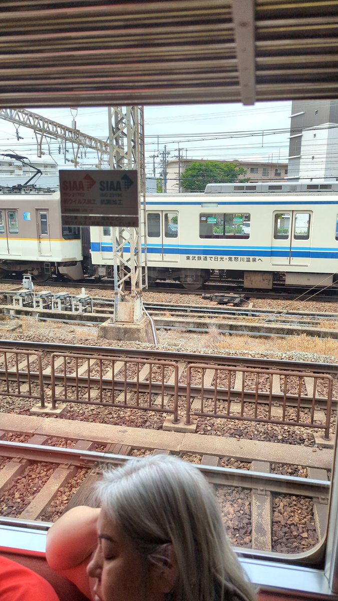 おつよぽん tweet media