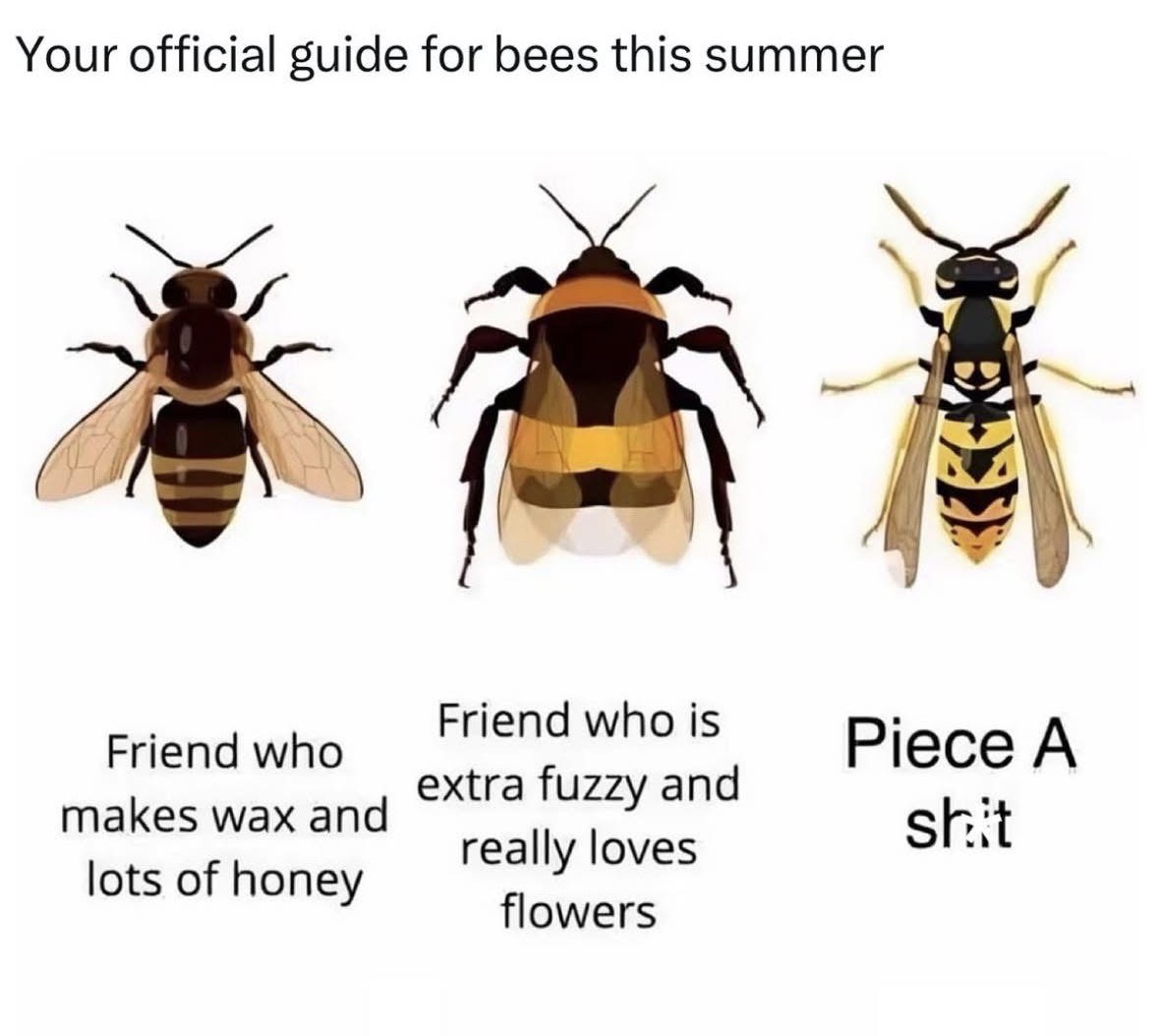 RespectfulMemes's tweet photo. https://t.co/GKlyXAAAjz