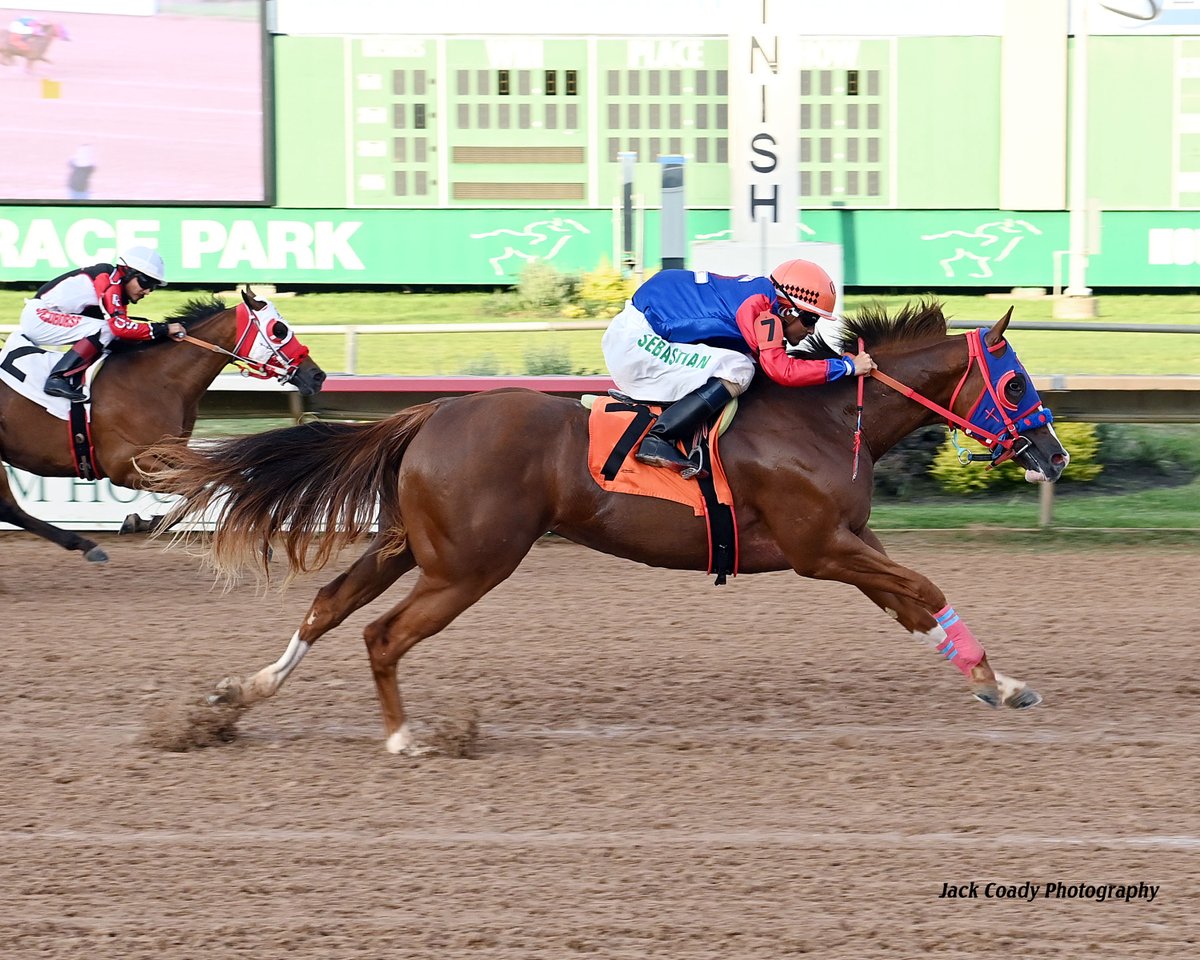 SHRP's tweet photo. MISS CHILITOS🤩

The chestnut filly ran the rest off their feet in the Colors Of Houston Futurity Trials!!

📸 Jack Coady Photography https://t.co/36CIm42MEy