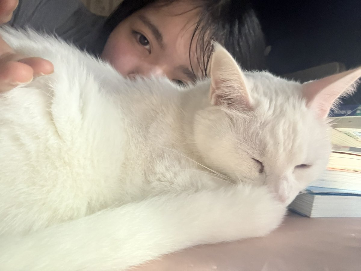 39pingue_08's tweet photo. みんな元気？
もう6月がすぐそこまで来てるにょ〜 https://t.co/TuuCc7F6MG