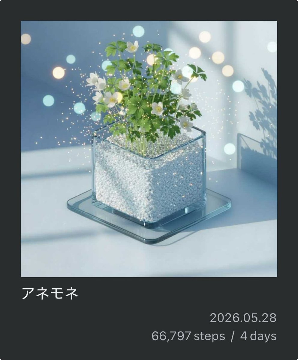 46_stepn's tweet photo. #PixelPot
アネモネが育ったよ！ https://t.co/s00wJIKMWa