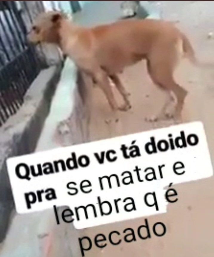 Ju_dMoura³ tweet media