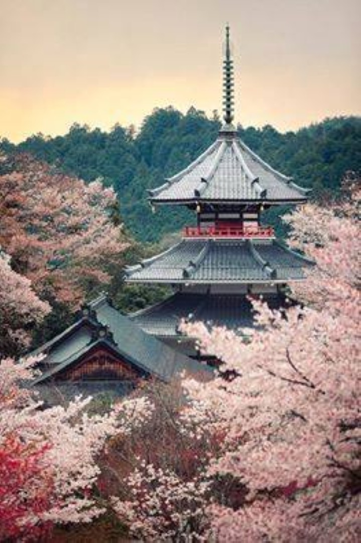 CHBA_NBC's tweet photo. 🇯🇵🔨 Japan is approaching skilled trade shortages very differently than Canada a lot of it comes down to technology, culture &amp; demographics.

🤖 Investing heavily in tech
🚁 drones for surveying
🏗️ prefab &amp; modular systems
📱 digital construction management
🦾 robotic assistance https://t.co/EGs0nxilDa